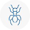 Ant Removals In Lanarkshire