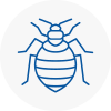 Bed Bug Extermination In Lanarkshire