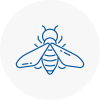 Bee Nest Removal Lanarkshire