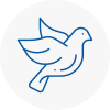 Bird Prevention Lanarkshire