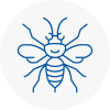 Lanarkshire Hornet Nest Removals
