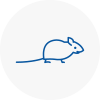 Mice Exterminators In Lanarkshire
