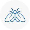 Moth Control Specialists In Lanarkshire