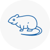 Rat Control Lanarkshire