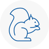 Lanarkshire Rodent Removals